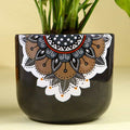 Money Plant In Black Mandala Pot