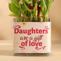 Lucky Bamboo In Glass Pot For Daughter