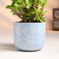 Serene Jade In Hand Painted Blue Terracotta Pot