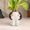 Green Indore Peace Lily Live Plants