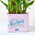 New Year Happy Bamboo Plant