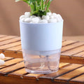 Elegant Peace Lily In self Watering